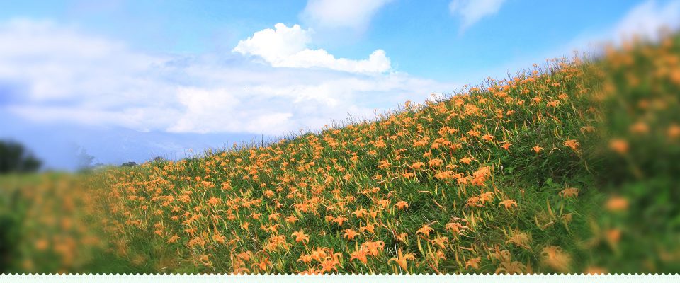 富里鄉風景